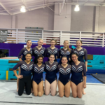 Gymnastics 2