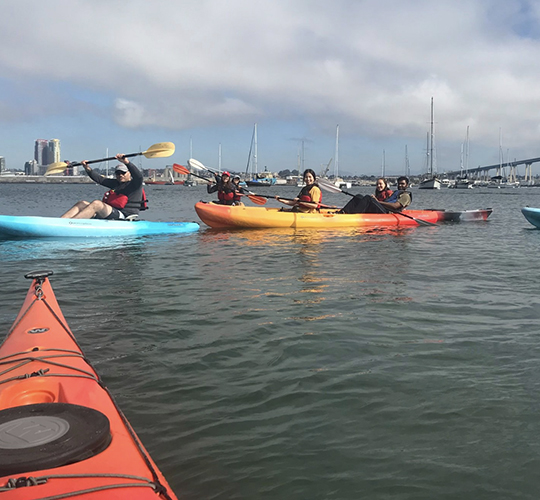 International Kayak